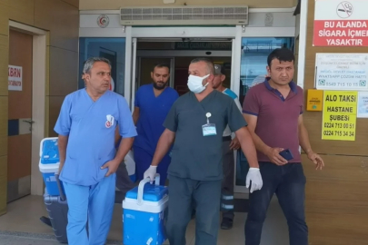 Bursa'da organlarıyla 4 kişiye umut oldu