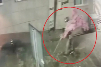 Bursa'da pes dedirten hırsızlık: Kasklı şüpheli süs ağacını söküp kaçtı