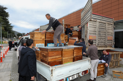 Bursa Büyükşehir'den arıcılara destek: 750 kovan dağıtıldı