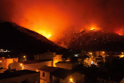 Bursa, 2025 orman yangınlarında en çok zarar gören bölge oldu