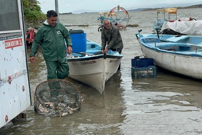 Uluabat’ta su arttı, turna uçtu: Kilosu 600 lira