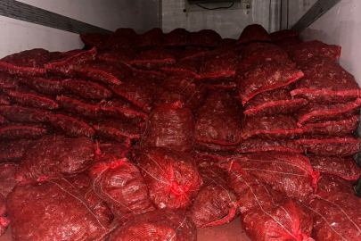 Bursa ve Balıkesir’de eş zamanlı operasyon: 10 ton midye ele geçirildi