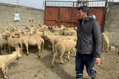 Kurbanlık parasıyla evlenmişti şimdi doğacak bebeği için kullanacak