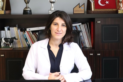 BVHO Başkanı Baysal: “Serbest veteriner hekimler cezai baskı altında”