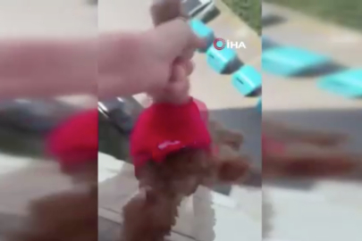 Köpeği balkondan sarkıtarak cama vuran kadın gözaltına alındı