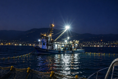 Gemlik Körfezi'nde sardalya avcılığı başladı