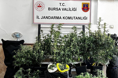 Osmangazi'de uyuşturucu operasyonu: 1 şüpheli tutuklandı
