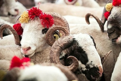 Kurban Bayramı tatili 9 güne uzatıldı