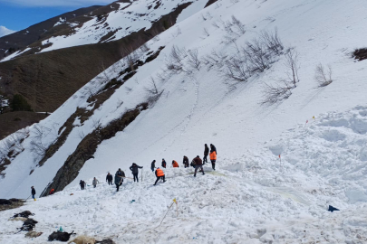 Artvin'de çoban çığ altında kalmıştı: Cansız bedenine 125 gün sonra ulaşıldı