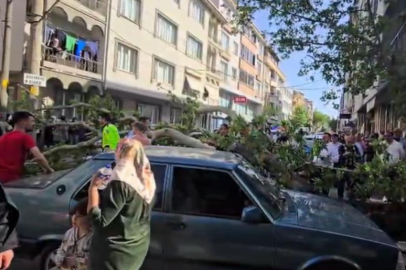 Karacabey'de seyir halindeki araçların üzerine ağaç devrildi
