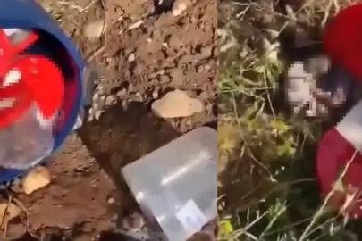 Şanlıurfa’da korkunç olay: Bidon içinde ceninler bulundu
