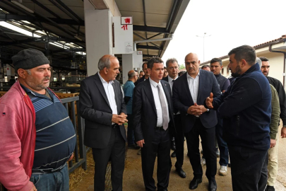 Osmangazi’de kurban satış ve kesim alanları hizmete hazır
