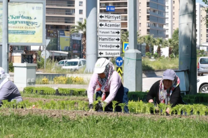 Bu yaz Osmangazi’de çiçek kokuları eksik olmayacak