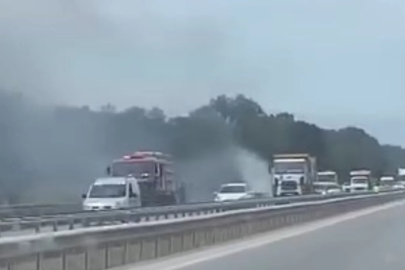 İzmir-Bursa kara yolunda otluk alanda yangın paniği
