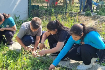 Nilüfer'de öğrenciler kendi bitkilerini yetiştirecek