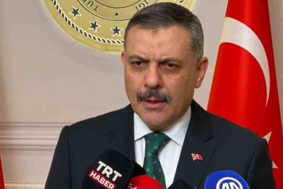 Bakan Çiftçi: "Yılbaşına kadar sokak köpeklerinin hepsini barınaklara toplatacağım"