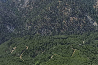 Bursa'da ormanlara girişler yasaklandı