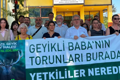 Bursa'da kızıl geyik av ihalesine tepki: "Av spor değil, cinayettir"