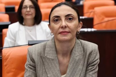 CHP'li Kayışoğlu “Yurt dışındaki vatandaşlar ehliyet mağduriyeti yaşıyor"