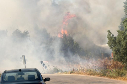 İznik'te korkutan yangın: Çiftçiler traktörleriyle bölgeye koştu