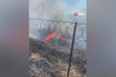 Bursa'da yangın: 100 dönüm ekili alan zarar gördü