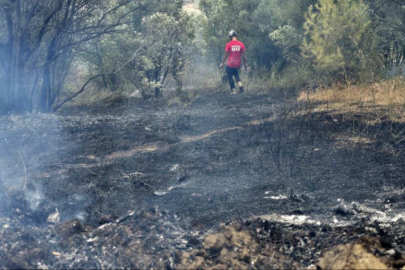 Bursa'da rüzgarın etkisiyle büyüyen yangın kontrol altına alındı
