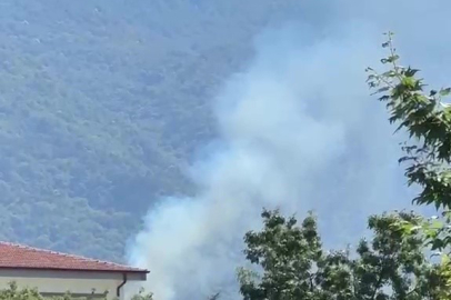 Bursa Kestel'de orman yangını
