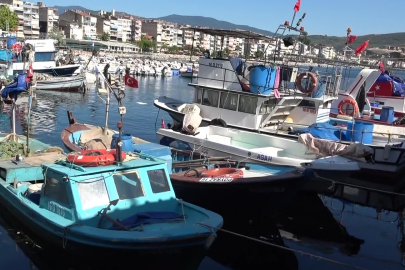 Marmara'nın emektar balıkçıları, müsilaj ve bilinçsiz avlanmadan şikayetçi