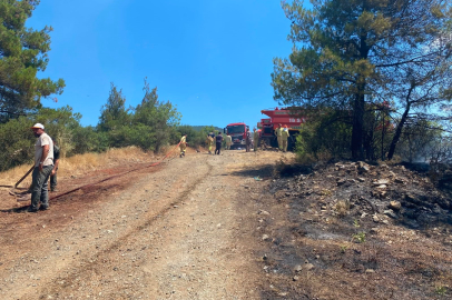 Bursa'daki orman yangını söndürüldü