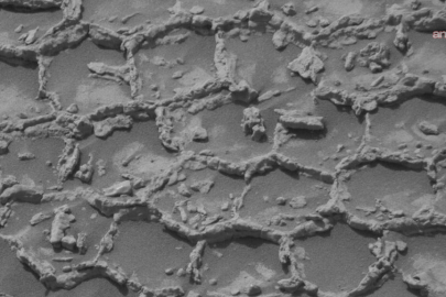 Curiosity aracı Mars'ta bal peteğini andıran gizemli yapılar görüntüledi