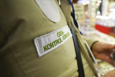 Bakanlık Bursa'daki firmaları ifşa etti: Yoğurda jelatin, böreğe kanatlı eti katmışlar!