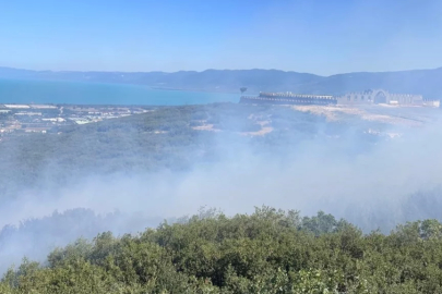 Bursa'da ormanlık alanda yangın