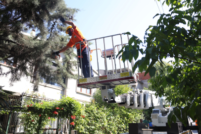 Osmangazi'de ağaç bakımında yeni dönem: Sepetli araçla daha güvenli budama