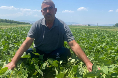 Bursa'da kooperatif modeli üreticiye nefes aldırdı