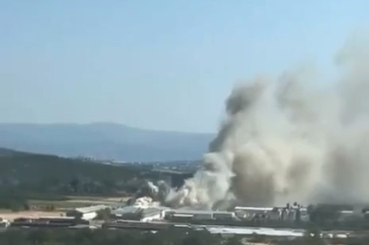 Bursa'da tavuk çiftliğinde yangın paniği