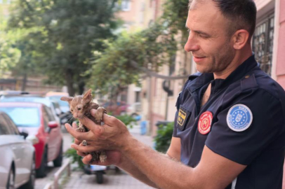 Bursa'da yağmur suyu giderine sıkışan kedi kurtarıldı