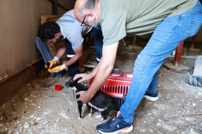Osmangazi'de kaçak bina yıkımında hayat kurtaran müdahale