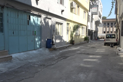 Bursa'da hayvanlara şiddet iddiası! Mahalleyi pireler bastı: "En az 300 şikayet var"
