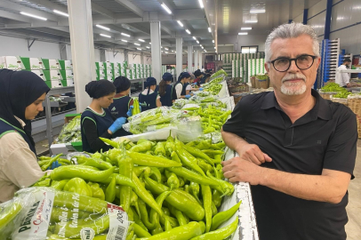 Bursa'nın siyah inciri ve Yenişehir biberi Avrupa sofralarını süslüyor