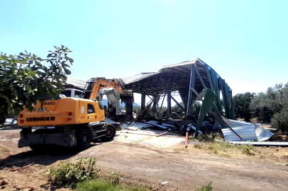 Bursa'da zeytinliğe yapılan kaçak depo böyle yıkıldı