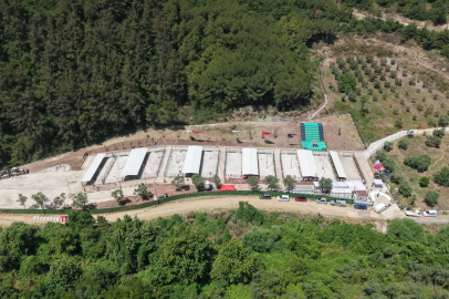 Gemlik Belediyesi'nden barınak açıklaması: "Tesisler ziyaretçilere açık"