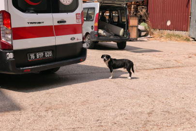 İnegöl'de köpeğe çarpmamak için manevra yaptı, motosikletten düştü