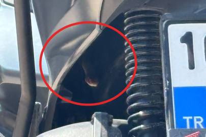 Bursa'da motosikletin içinden yılan çıktı