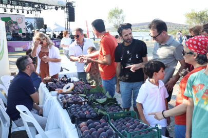 12. Akçalar Fadıllı İncir Festivali 13 Eylül’de Akçalar Göl Kıyısı’nda