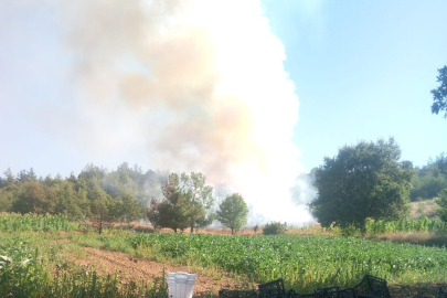 Kestel’de orman yangını! Havadan ve karadan müdahale sürüyor