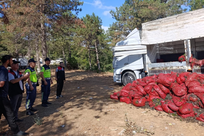 Bursa'da 8 ton midye ele geçirildi