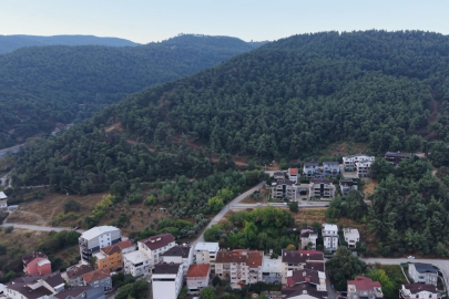 Çalı mahallesine ayılar indi, mahalle muhtarı uyardı