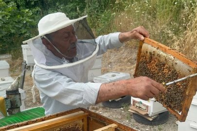 Emekli başgardiyan Bursa'da 50 yıldır arıcılık yapıyor: Balları Avrupa'ya gidiyor