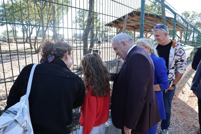 Nilüfer’de sahipsiz hayvanlar için “Umut Ağacı” açıldı
