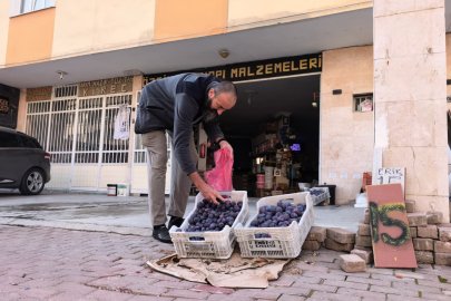Bursa’da 10 ton erik elinde kaldı: Sosyal medyada yardım çağrısı yaptı